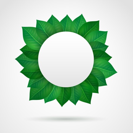 Empty leaves frame illustrationのイラスト素材