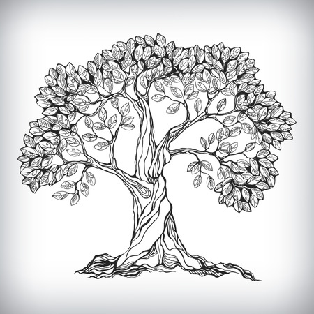 Hand drawn tree symbol isolated vector illustrationのイラスト素材