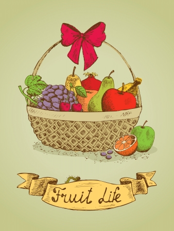 Fruit life gift basket with bow emblem vector illustrationのイラスト素材