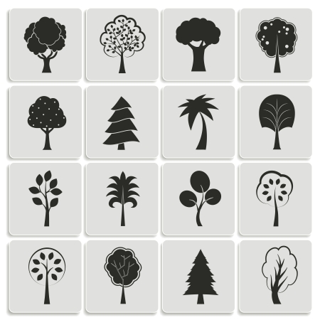 Green forest trees design elements of pine fir oak isolated vector illustrationのイラスト素材