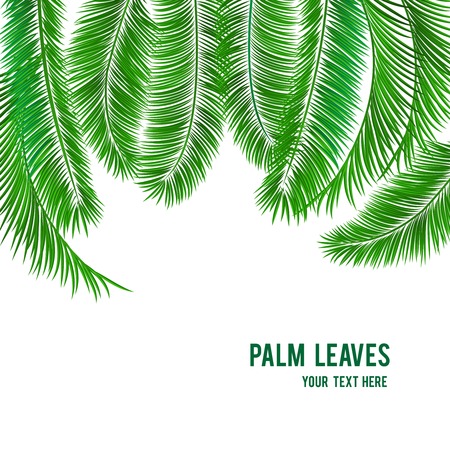 Tropical palm tree background banner template vector illustrationのイラスト素材