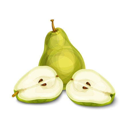Green natural organic sweet pear fruit sliced in half with seeds isolated hand drawn sketch illustrationのイラスト素材