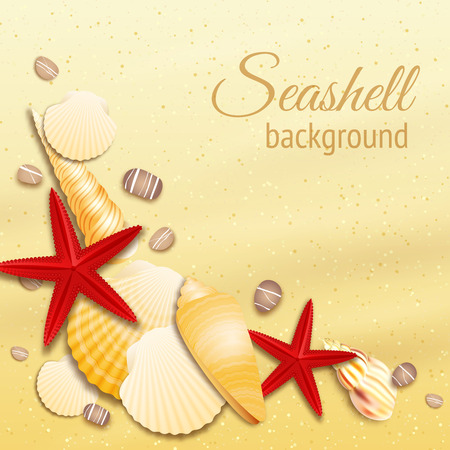 Seashell on the golden sand summer beach background illustrationのイラスト素材