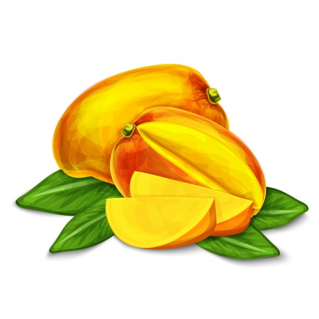Natural organic sweet cut and sliced mango tropical fruit decorative poster or emblem isolated illustrationのイラスト素材