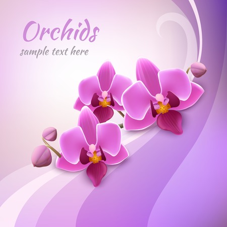 Decorative delicate orchid stem with buds and flowers  in blossom background poster vector illustrationのイラスト素材