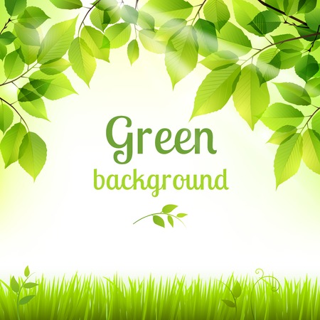 Natural green fresh spring leaves and grass botanic foliage decorative background poster print vector illustrationのイラスト素材