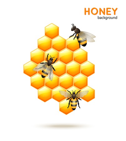 Sweet honey comb with bees workers background vector illustrationのイラスト素材