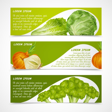 Vegetable organic food banners horizontal with salad onion broccoli isolated vector illustration.のイラスト素材