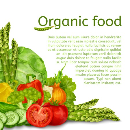 Vegetable organic food set of cabbage tomato paprika background vector illustrationのイラスト素材
