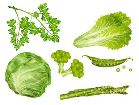 Green vegetable organic food set with cabbage parsley peas lettuce isolated vector illustrationのイラスト素材