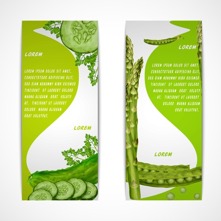 Green vegetable organic food vertical banners set with parsley peas cucumber isolated vector illustrationのイラスト素材