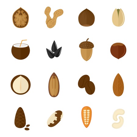 Set of almond hazelnut coconut sunflower seeds and nuts in flat style vector illustrationのイラスト素材