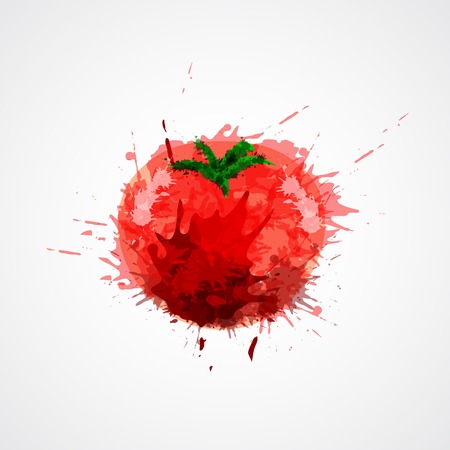Red fresh watercolor splash stained tomato isolated on white background vector illustrationのイラスト素材