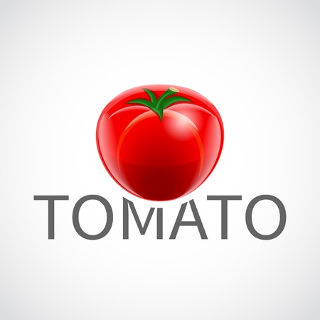 Red ripe fresh tomato realistic poster vector illustration.のイラスト素材
