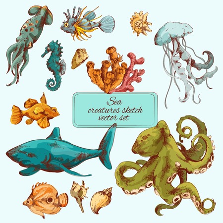 Sea fishes and ocean creatures sketch colored decorative icons set isolated vector illustrationのイラスト素材
