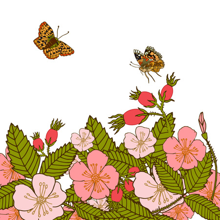 Vintage romantic abstract summer flower branches background with flying butterflies illustration.のイラスト素材