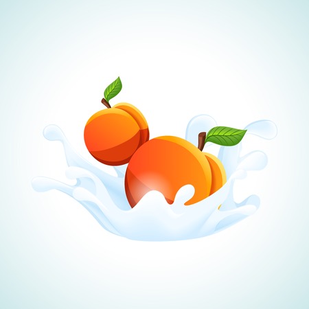 Sweet apricot fruits falling in white milk or cream splash yoghurt concept illustrationのイラスト素材