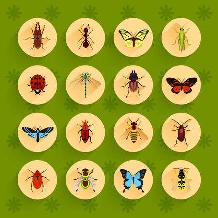 Insects round button flat icons set with fly dragonfly bee isolated vector illustrationのイラスト素材
