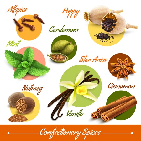 Spices decorative icons set of poppy cardamom nutmeg vanilla isolated vector illustrationのイラスト素材