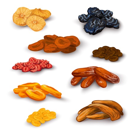 Sun dried fruit healthy nutritive food icons set with apricots raisins prunes figs abstract isolated vector illustrationのイラスト素材