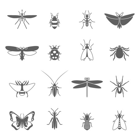 Insects black icons set with bee bug fly butterfly isolated vector illustrationのイラスト素材
