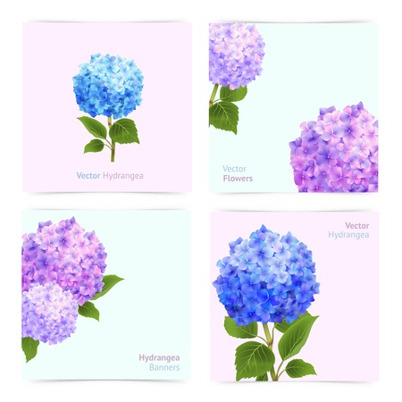 Romantic hydrangea paper cards set with blossoming flowers isolated vector illustrationのイラスト素材