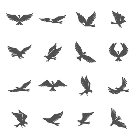 Different eagle birds spreding their wings and flying icons set isolated vector illustration Different eagle birds spreding their wings and flying icons set isolated vector illustration