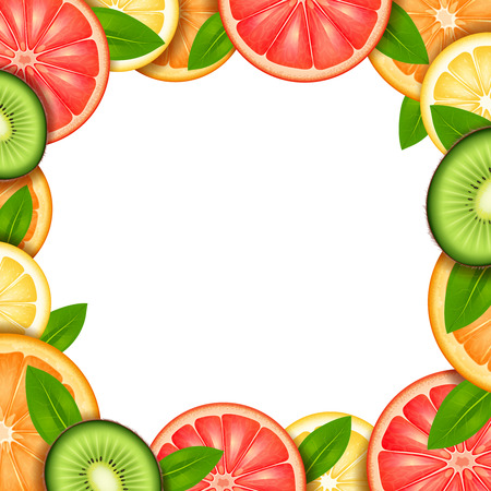 Fruit frame with sliced orange kiwi lemon and grapefruit border vector illustrationのイラスト素材