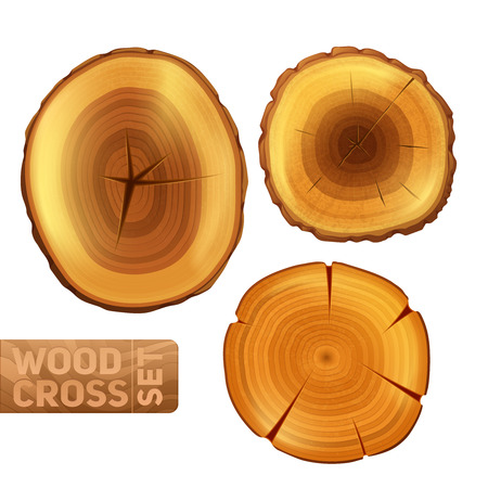 Wood logs cross section set with annual circles texture isolated vector illustrationのイラスト素材