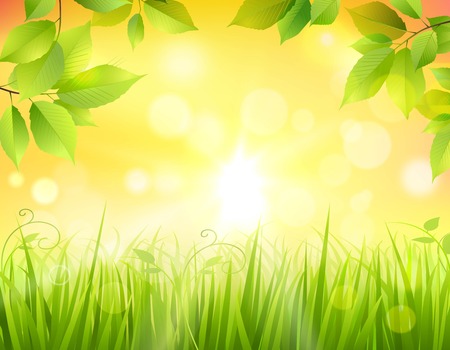Sunrise in forest background with green tree leaves frame and sun beams in the middle vector illustrationのイラスト素材