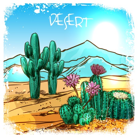 Cactuses in mexico desert with mountains on background sketch vector illustrationのイラスト素材