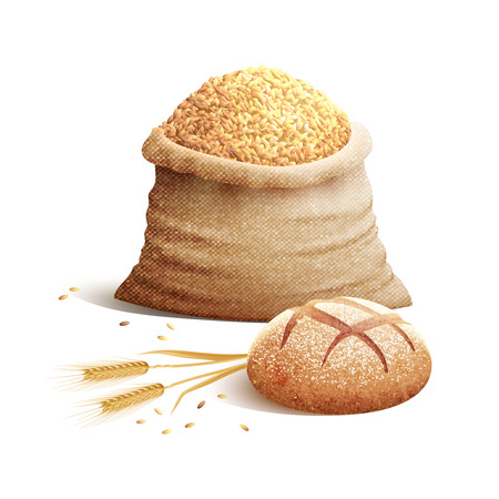 Bread wheat spikes and bag of grains or cereal with shadows 3d color concept vector illustrationのイラスト素材