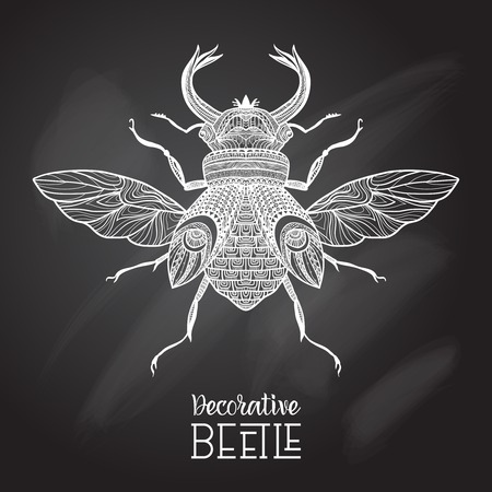 Hand drawn decorative beetle with ornament on chalkboard vector illustrationのイラスト素材