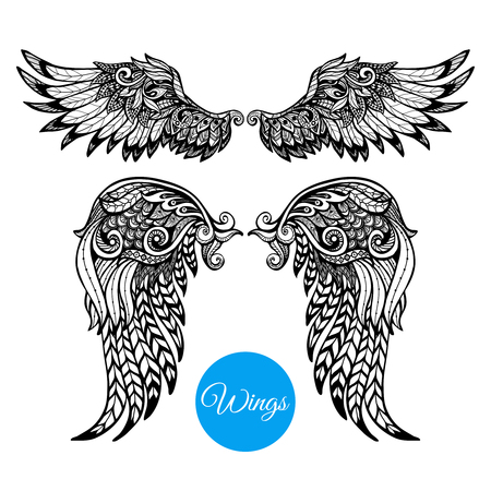 Decorative wings set with hand drawn ornamental feathers isolated vector illustrationのイラスト素材