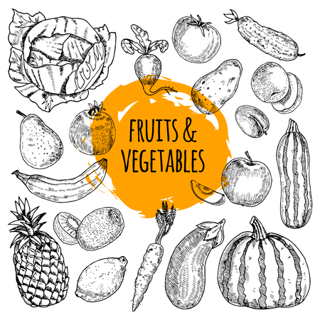 Healthy food pictograms arrangement of fruits and vegetables collection hand drawn doodle style abstract vector illustrationのイラスト素材