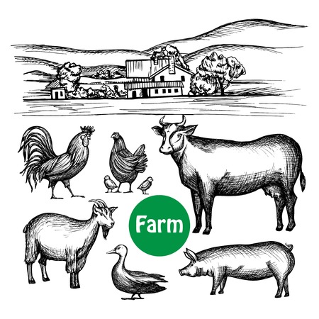 Hand drawn farm set with village house and livestock animals isolated vector illustrationのイラスト素材