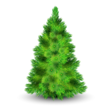 Christmas tree with green branches for decorating the house realistic vector illustrationのイラスト素材