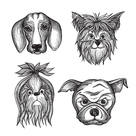 Hand drawn dog faces set with dachshund bulldog and terrier isolated vector illustrationのイラスト素材