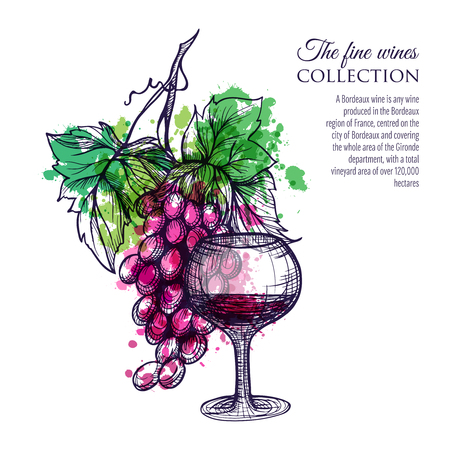 Glass of red wine with grape branch hand drawn vector illustrationのイラスト素材
