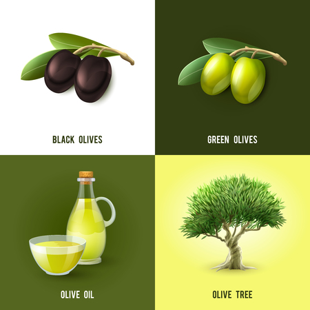 Olive design concept set with black and green olives oil and tree icons isolated vector illustrationのイラスト素材