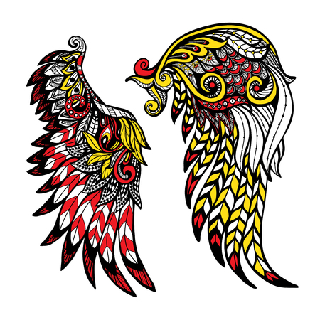 Hand drawn colored wings set with decorative feathers isolated vector illustrationのイラスト素材