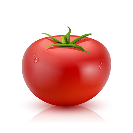 Red ripe tomato with water droplets isolated on white background realistic vector illustrationのイラスト素材