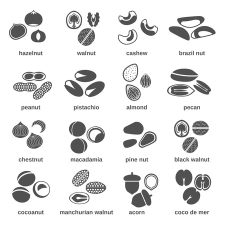 Nut icons black set with brazil peanut pistachio walnut isolated vector illustrationのイラスト素材