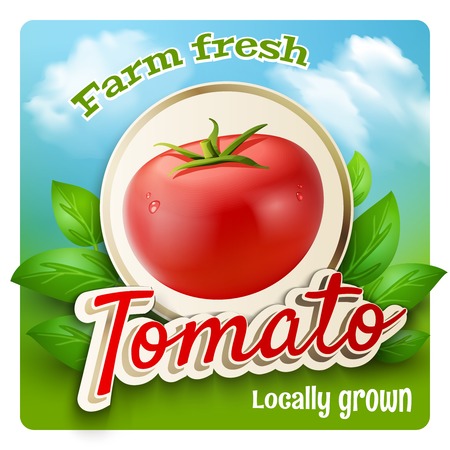 Farm market promo poster with realistic tomato and green leaves on background vector illustrationのイラスト素材