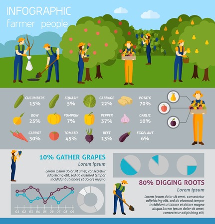 Infographic people working in garden and farm percent products flat  vector illustrationのイラスト素材