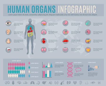 Human organs infographic set with internal body parts symbols and charts vector illustrationのイラスト素材
