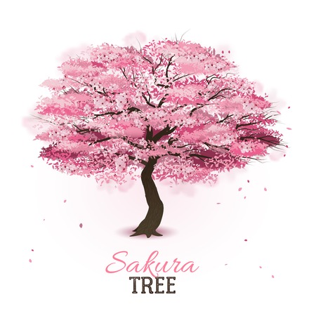 Realistic pink blossoming spring japanese sakura cherry tree vector illustrationのイラスト素材