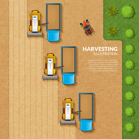 Harvesting concept with top view grain field with argicultural machinery vector illustrationのイラスト素材