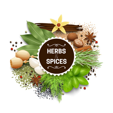 Illustration of set with different types of herbs and spices vector illustrationのイラスト素材