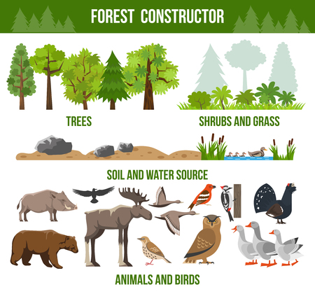 Forest constructor poster with trees shrubs and grass animals and birds source packs flat isolated vector illustrationのイラスト素材